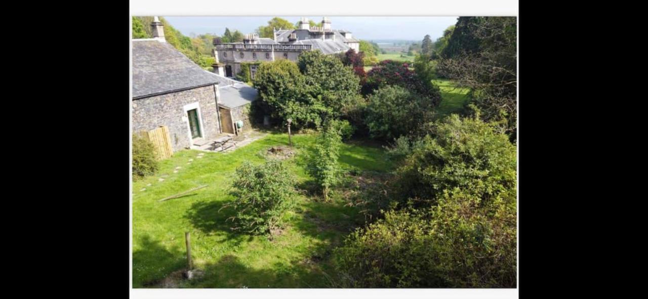 Woodland Cottage Charleton Estate Colinsburgh Екстериор снимка