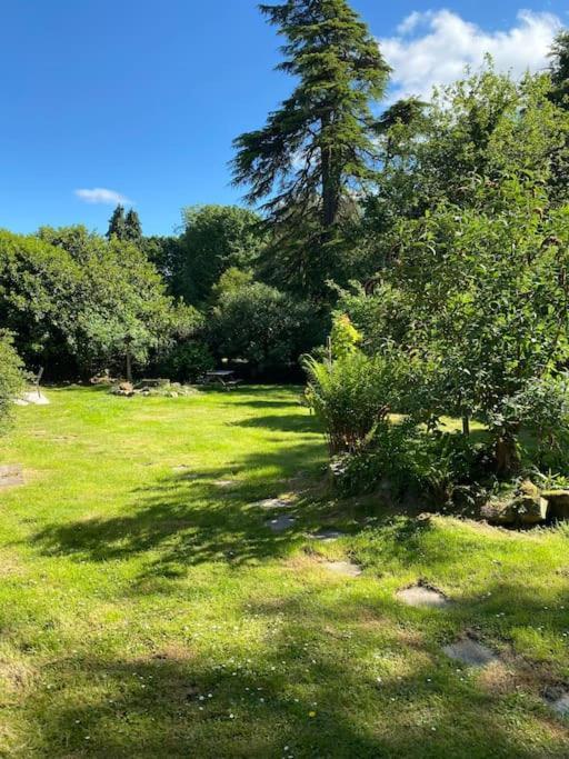 Woodland Cottage Charleton Estate Colinsburgh Екстериор снимка